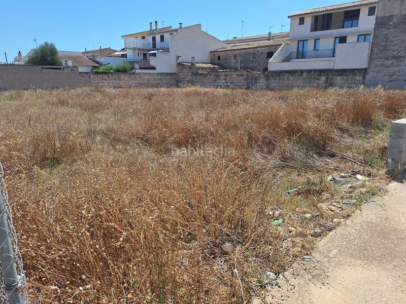 Foto fedee682-3b50-44ae-a028-15b67a2c40c9. Terreny residencial a Sa Pobla