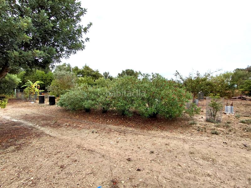 Foto 1225131b-7bc3-4cc2-969c-85afc680cf8e. Finca rústica se vende terreno en Sineu