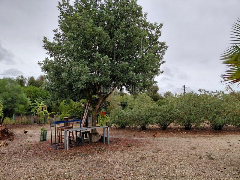 Foto 26d25093-6116-4b47-af3b-85347f718be7. Finca rústica se vende terreno en Sineu