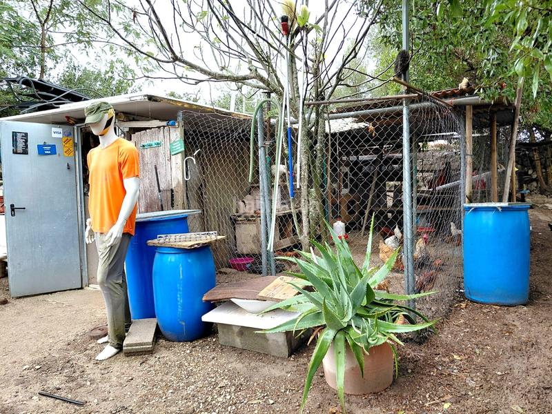 Foto 4408a4e7-4c32-491d-9c06-373f8c8b1a52. Finca rústica se vende terreno en Sineu