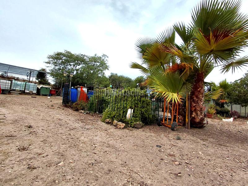 Foto 53509a73-39c8-49b6-8c66-c73c0d09fe8d. Finca rústica se vende terreno en Sineu