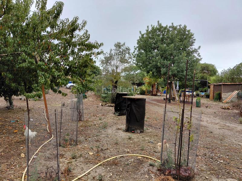 Foto 6607f865-2845-41d5-95c7-f9375e6acfcd. Finca rústica se vende terreno en Sineu