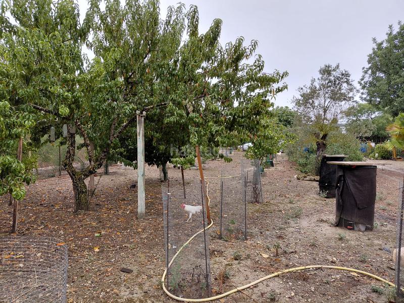 Foto 70aac99d-0ad2-4f17-864b-608f84e7b1e1. Finca rústica se vende terreno en Sineu