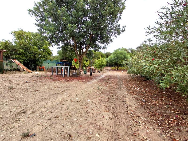 Foto 73215a25-b625-4a2a-b038-d4b471a04712. Finca rústica se vende terreno en Sineu