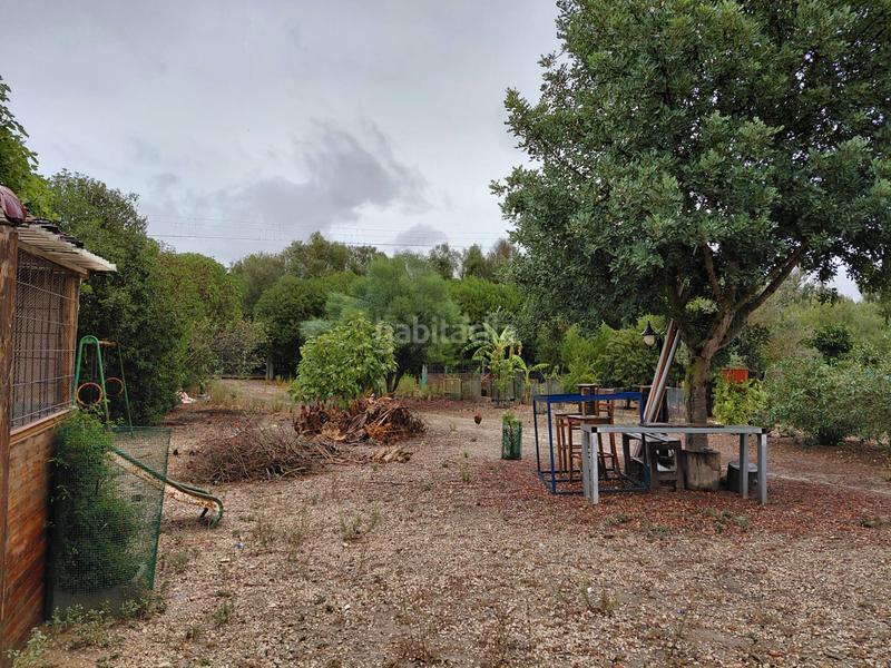 Foto 8371e0f0-ecf3-467e-a0b7-53cfe2765e67. Finca rústica se vende terreno en Sineu