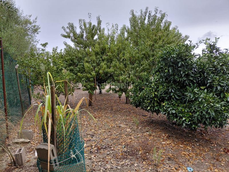 Foto 87198c77-2aa0-4ac8-9d55-cbf239fa9bed. Finca rústica se vende terreno en Sineu