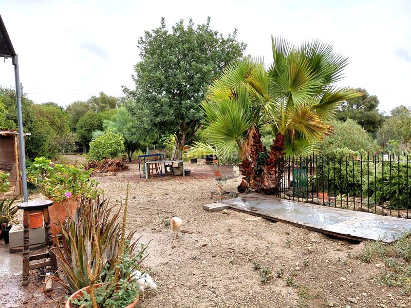 Foto 9c78d704-02bb-42d9-963e-e639224be5ca. Finca rústica se vende terreno en Sineu