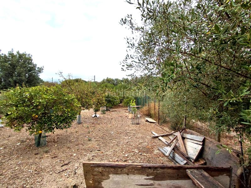 Foto a8adabc1-2bd4-4c06-b677-78ffa839f9ed. Finca rústica se vende terreno en Sineu