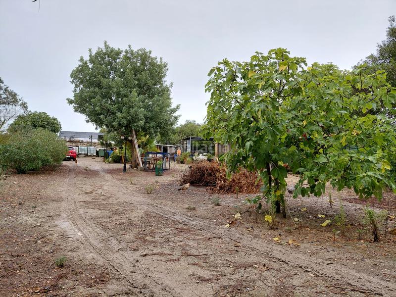 Foto b025ee4c-aa5f-4a19-885c-f30cdeba7e3d. Finca rústica se vende terreno en Sineu