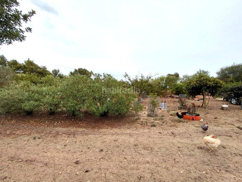 Foto babd5824-46c0-4a0c-a2bb-aee4af31d8f9. Finca rústica se vende terreno en Sineu