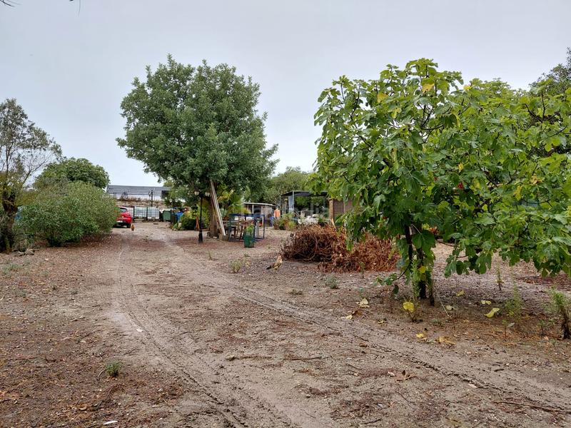 Foto bbe136ef-b841-4c91-83d7-5869acd7bbe1. Finca rústica se vende terreno en Sineu