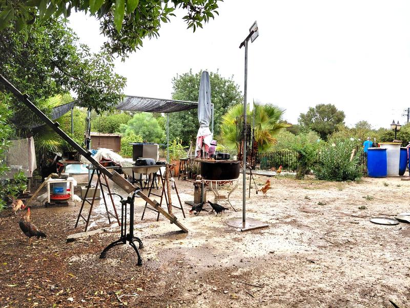 Foto bfb267ad-911b-4d33-a7f3-e130cd1f1232. Finca rústica se vende terreno en Sineu
