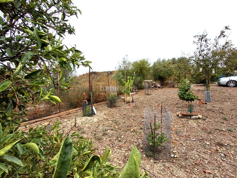 Foto e1c1efc9-14b2-428c-986c-07871230adc5. Finca rústica se vende terreno en Sineu