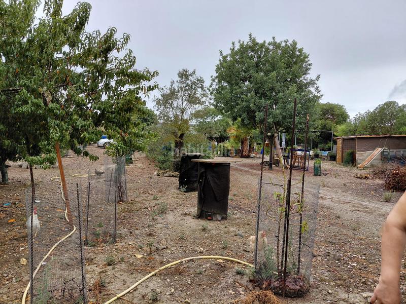 Foto e8957999-c00e-44bd-8ad2-ed32f9aa2696. Finca rústica se vende terreno en Sineu