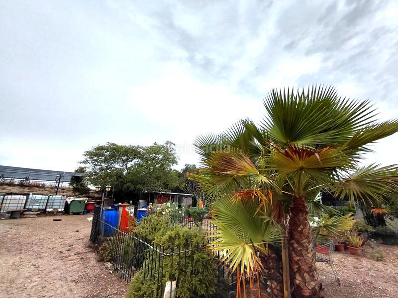 Foto ee4a87ab-315d-4e29-a3e8-709e4d634272. Finca rústica se vende terreno en Sineu