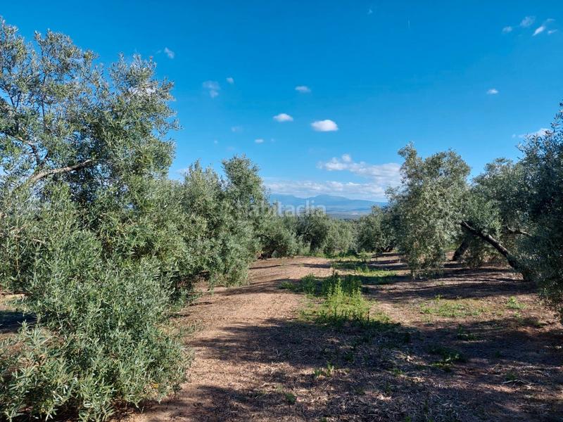 Foto 48411f53-67ad-476a-b4b2-f0a6a3456a05. Landgut in Zona Hospital Linares