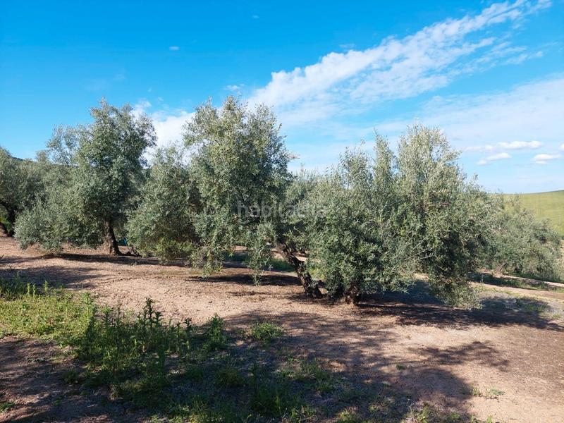 Foto d1fff78e-2b2c-4893-bade-36607f898bb3. Landgut in Zona Hospital Linares