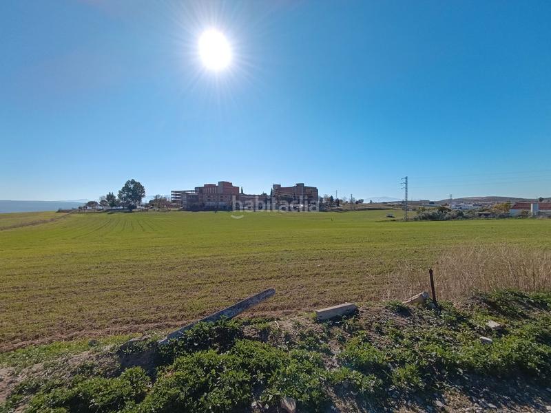 Foto 0b2663c5-5af9-4975-8894-f6958e413f9f. Finca rústica a San Gonzalo Linares