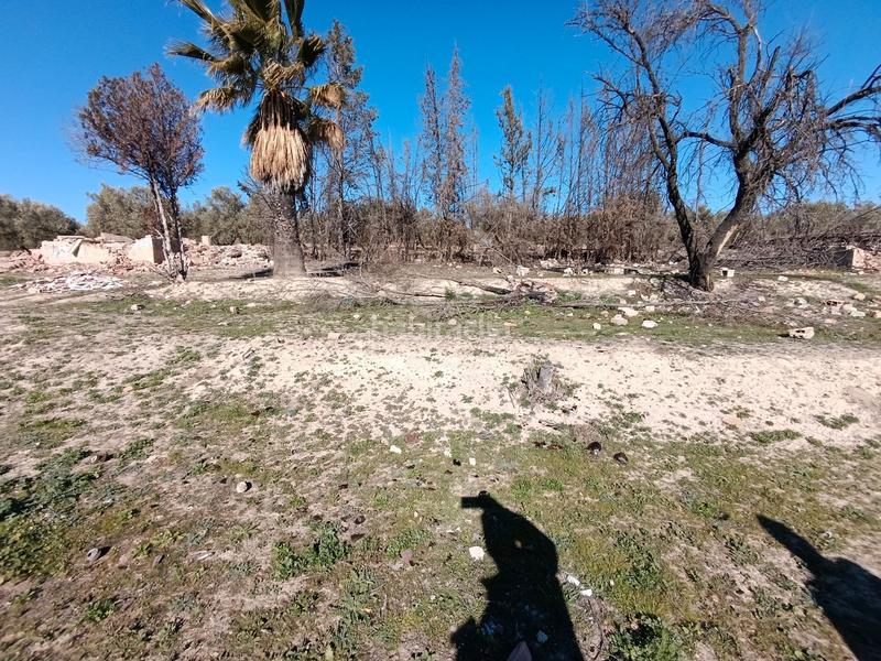 Foto 314e32a0-bc5f-494d-80b7-2141a3413fac. Finca rústica a San Gonzalo Linares