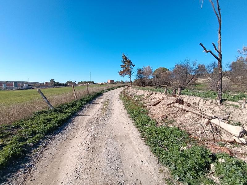 Foto 43f65f9f-cc58-41be-8c91-2e558077569a. Finca rústica a San Gonzalo Linares