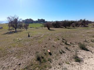 Finca rústica a San Gonzalo. Terreno rustico de 4.000 metros cuadrados