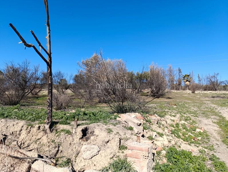 Foto 6226fd5a-2458-4813-9a9f-01beb69d22ba. Finca rústica a San Gonzalo Linares