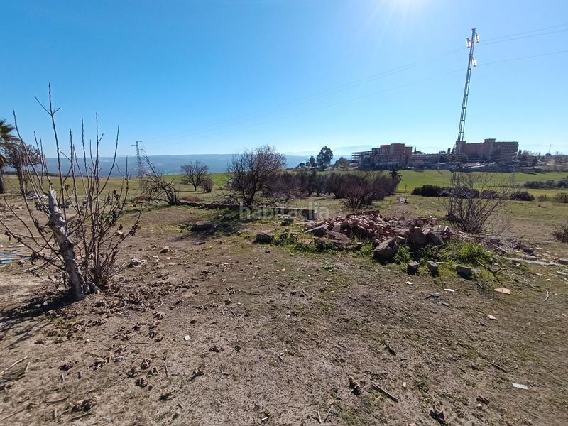 Foto 65233d82-5f15-4758-883b-2f5dc2f9a720. Finca rústica a San Gonzalo Linares