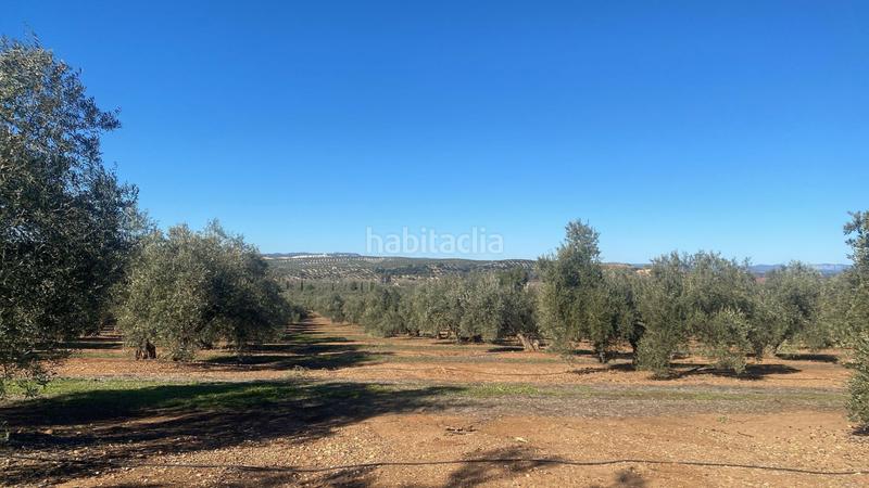 Foto 4f3b16e8-2cbd-4178-b878-f0179ac78ed1. Finca rústica a Jabalquinto