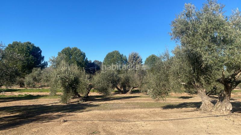 Foto d2467a84-cd72-4e39-9dde-364dd36b5eb9. Finca rústica a Jabalquinto