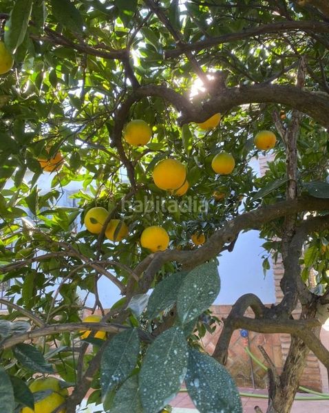 Foto 0b17e5e8-c58e-426b-bfa5-f628815763cc. Xalet amb calefacció a Sanlúcar la Mayor