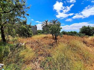 Masia  Calle de la constitucion. Cortijo para reformar en los alrededores de taberno. esta propie