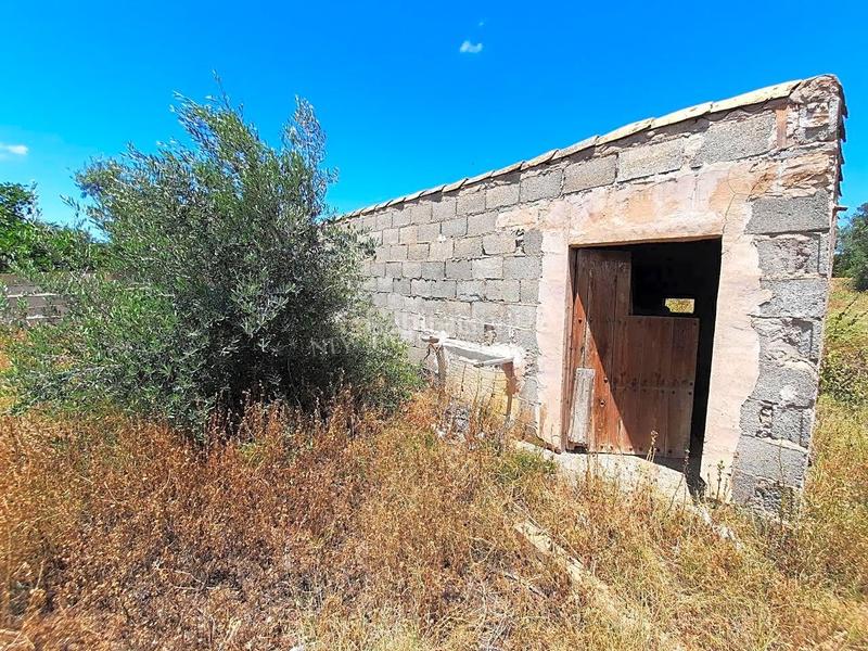 Foto 6f22e901-b94e-4718-8675-9913f4ff212a. Masía cortijo para reformar en los alrededores . esta propiedad de 62m2 cuenta con 5 habitaciones, amplio comedor, cocina, gar en Taberno