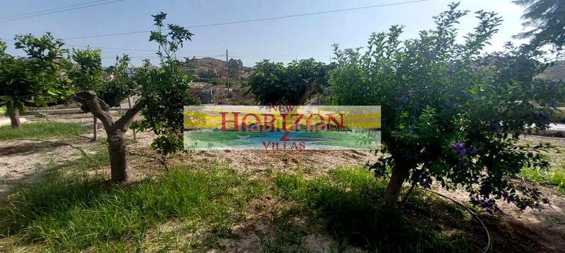 Foto 2d893d5d-75c5-4bb2-b70b-3208f44efc4d. Casa in Cuevas del Almanzora pueblo Cuevas del Almanzora