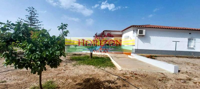 Foto 61280d53-87fb-4e7d-b8d4-4ed160ccae9f. Casa in Cuevas del Almanzora pueblo Cuevas del Almanzora