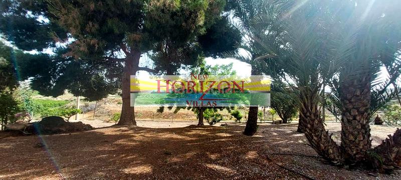 Foto 7240d52d-7c8a-4aa4-a2d1-c7c4e36d734f. Casa in Cuevas del Almanzora pueblo Cuevas del Almanzora