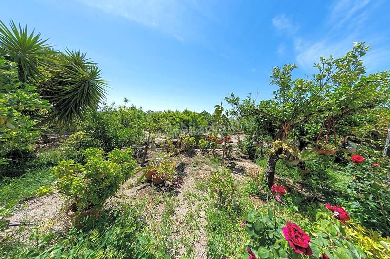 Foto 5c96458c-8e76-45d5-b2b2-04af580e112d. Casa con riscaldamento parcheggio in Huércal - Overa