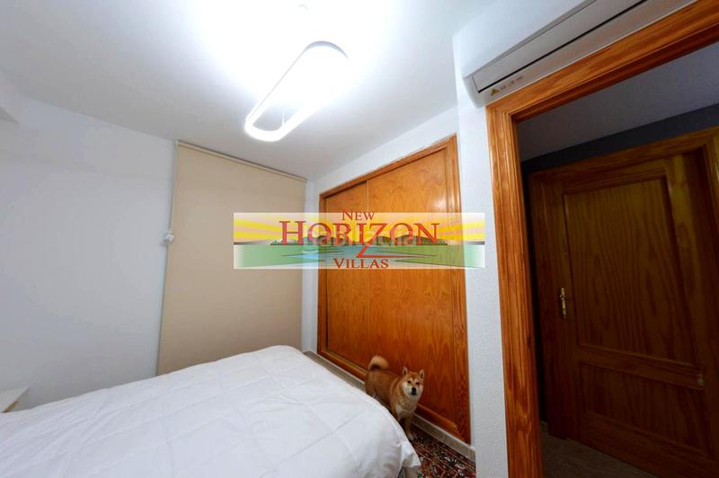 Foto c9522d81-c0e7-44c2-9aae-5447185bf7b3. Pis a Zurgena