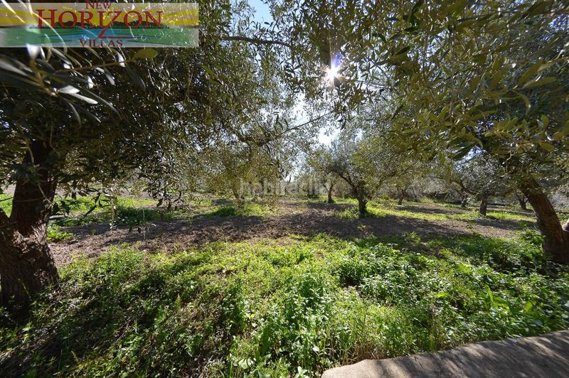 Foto 6c644219-18c3-48b2-b9bd-b6993e9d921e. Casa  de campo con 2 plantas en Albox