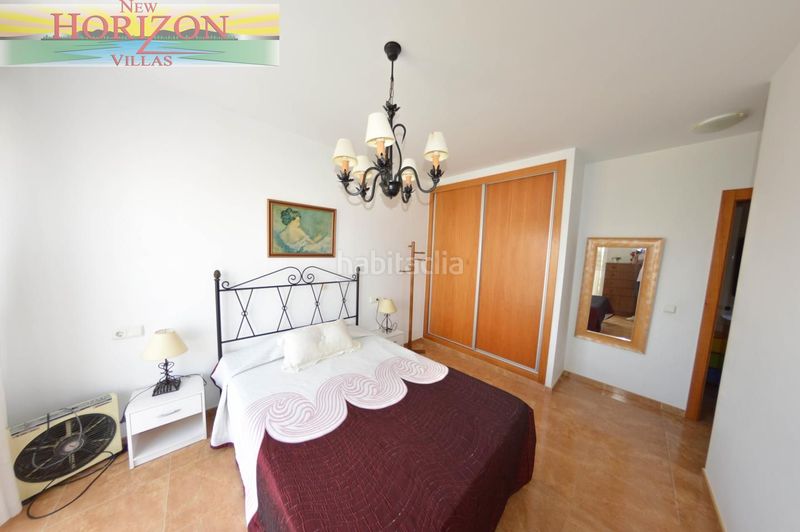 Foto cb6f3676-ab1a-47a0-a951-b736163ae511. Pis a Albox
