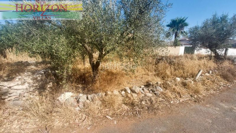 Foto 92406466-2ad1-4cfd-9224-11939014aa50. Masia a Arboleas