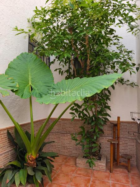 Foto 149ea99d-7a91-46e4-8003-9053205d3331. Alquiler piso  2 dormitorios con patio en Castaño - Mirasierra Granada