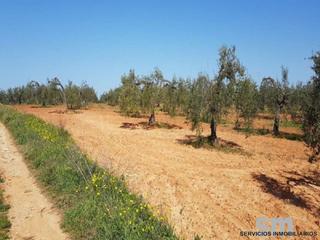 Terreny residencial a Bollullos de la Mitación. Venta de terreno urbano no consolidado en bollullos de la mitaci