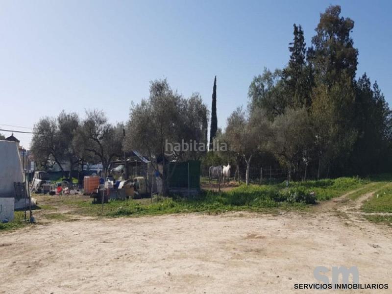 Foto 6346c0b4-88e2-4004-85a9-48cf1dc17e77. Wohngrundstück in Bollullos de la Mitación