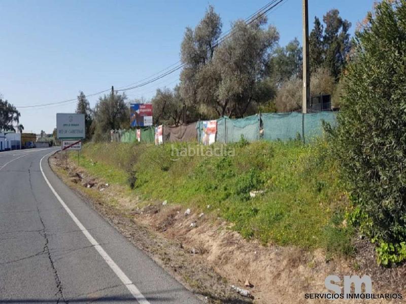 Foto 644cda47-04d3-4c28-a05f-c595390f087f. Wohngrundstück in Bollullos de la Mitación