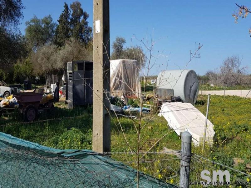 Foto fb4df88c-27bf-44ff-be28-7eb414b7edbf. Wohngrundstück in Bollullos de la Mitación