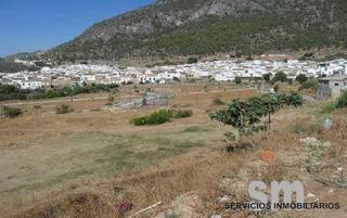 Terreny residencial a Algodonales. Venta de terreno urbano no consolidado en algodonales