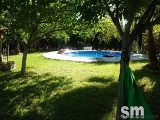 Terreny residencial a Bosque (El). Finca rustica en el bosque