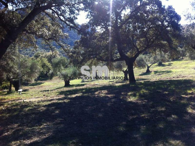 Foto b0203d69-42ea-4f90-be3f-d7c603a0c70a. Finca rústica venta de finca rustica en el bosque, en un entorno privilegiado. en Bosque (El)