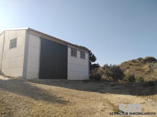 Finca rústica a Zahara. Venta de finca rústica en zahara de la sierra
