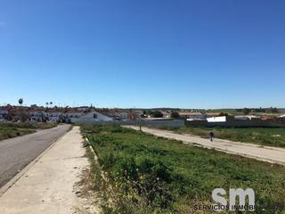 Terreny residencial a Huévar. Venta de terreno en huévar del aljarafe